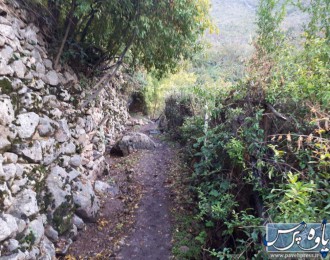 گزارش تصویری از طبیعت زیبای داریان