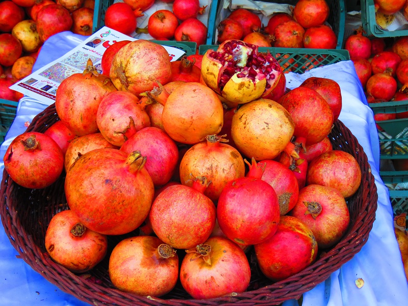 اختتامیه جشنواره انار هورامان در نیاوران