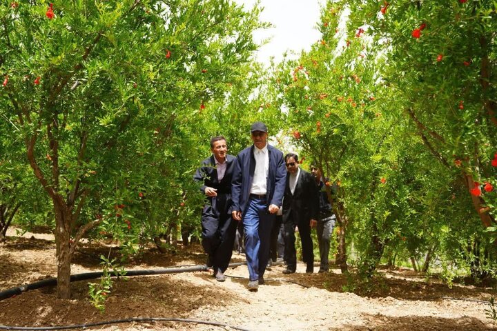 دشه، الگویی موفق در توسعه روستایی و بازگشت جمعیت است