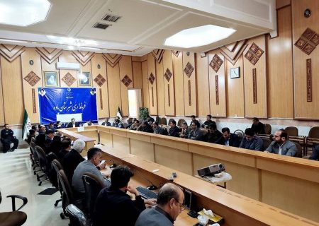 فرماندار : پای کار نبودن، حذف از شورا