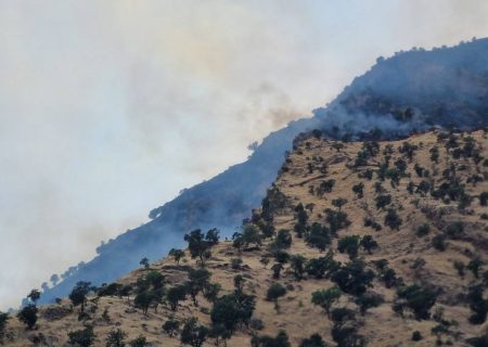 آتش‌سوزی در مراتع «شیخان» پاوه مهار شد؛ ۳۰ هکتار در آتش سوخت